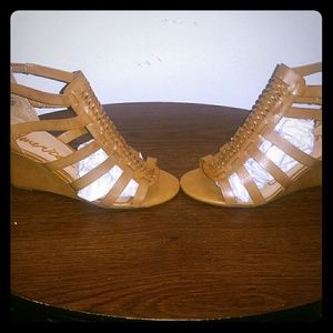 American Rag Cie bootie thru macy's